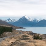 Yeni Zelanda Seyahat Yasağını Kaldırdı